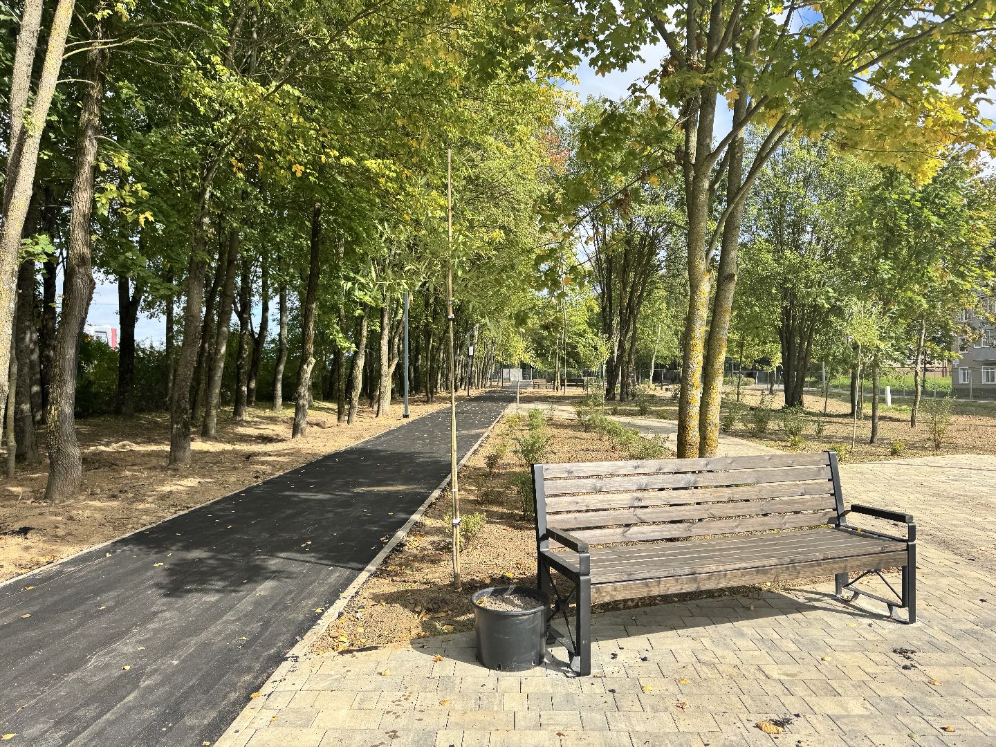 шаховская, рижский сквер, благоуйстройство, новый сквер,место отдыха,