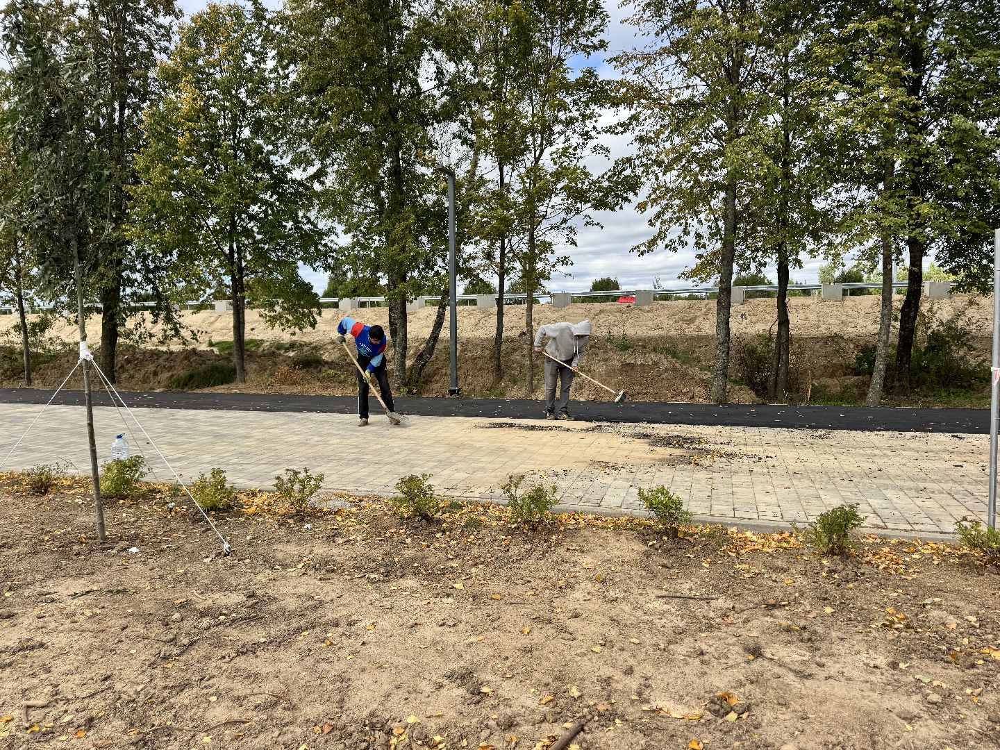 шаховская, рижский сквер, благоуйстройство, новый сквер,место отдыха,