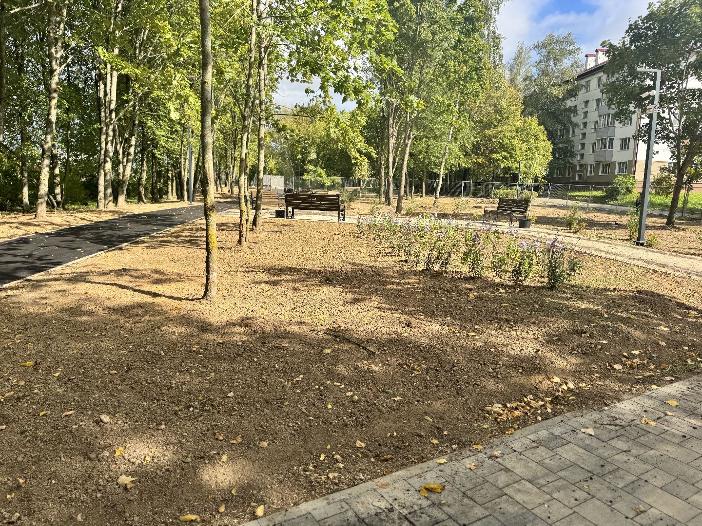 шаховская, рижский сквер, благоуйстройство, новый сквер,место отдыха,