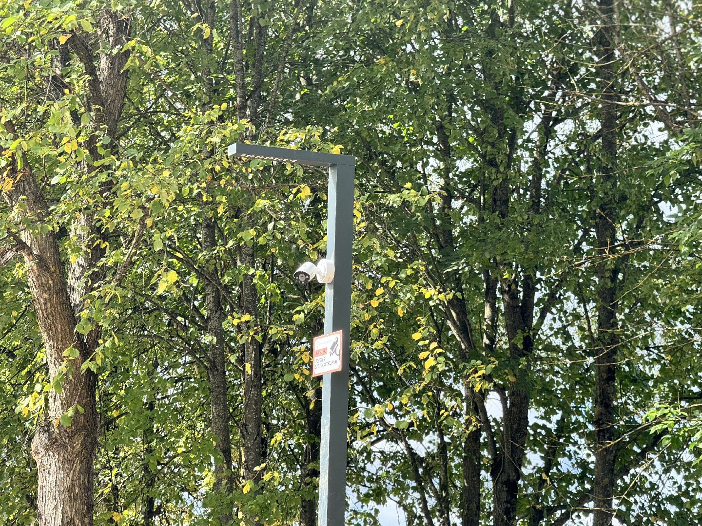 шаховская, рижский сквер, благоуйстройство, новый сквер,место отдыха,