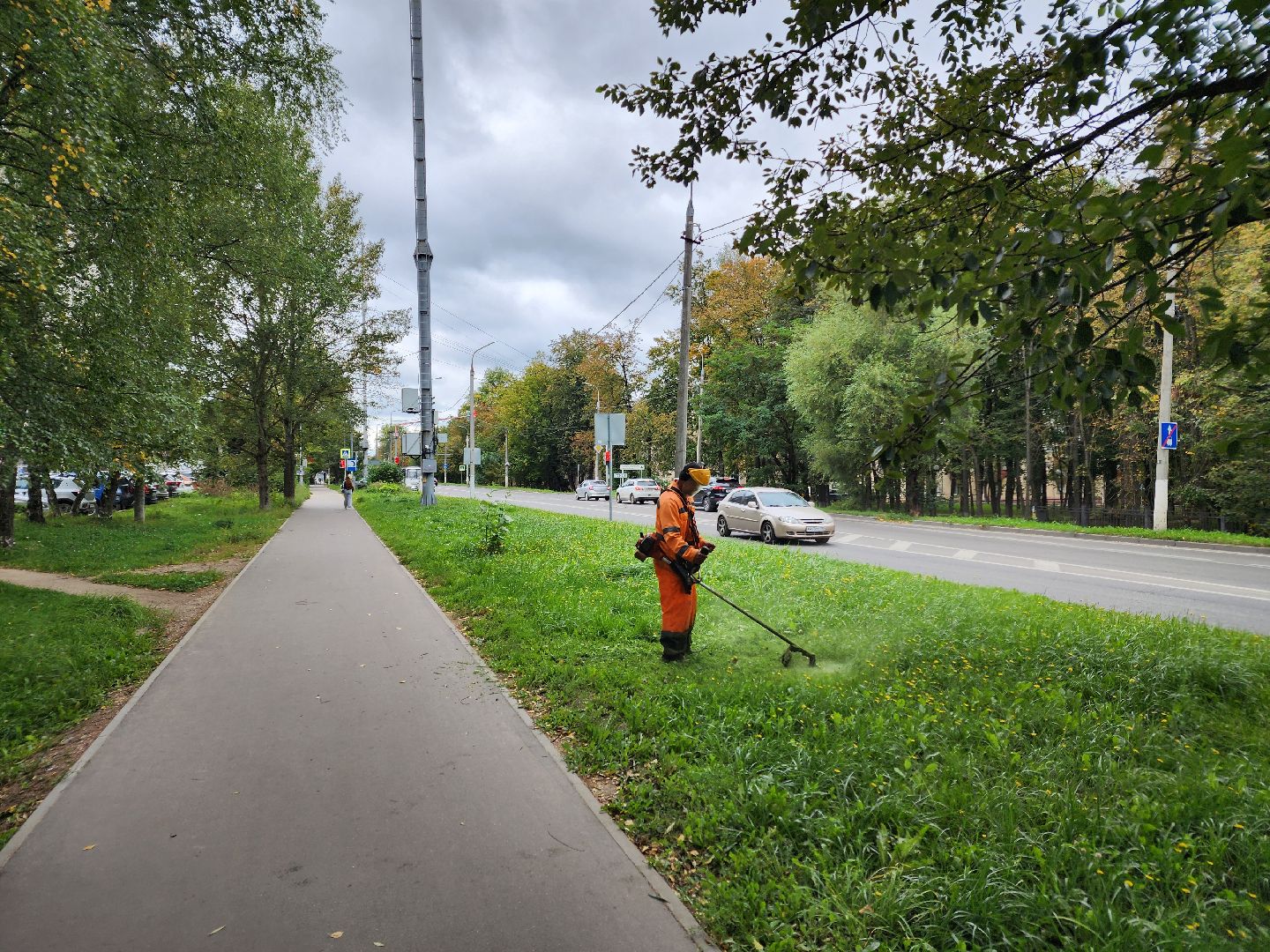 чехов, улица чехова, мосавтодор, покос травы, газонокосилки, содержание дорог, региональные трассы, уборка дорог, мбу чеховское благоустройство,