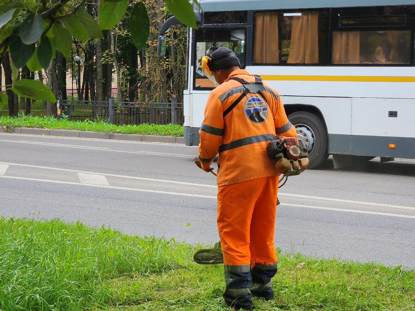 чехов, улица чехова, мосавтодор, покос травы, газонокосилки, содержание дорог, региональные трассы, уборка дорог, мбу чеховское благоустройство,
