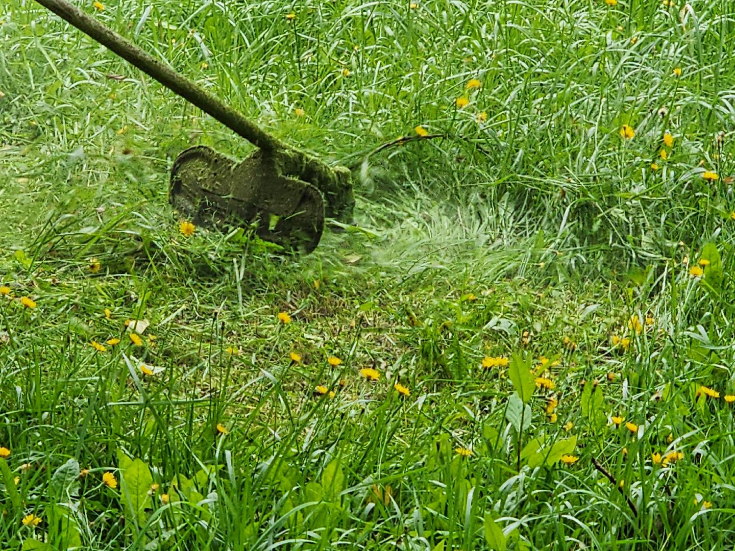 чехов, улица чехова, мосавтодор, покос травы, газонокосилки, содержание дорог, региональные трассы, уборка дорог, мбу чеховское благоустройство,