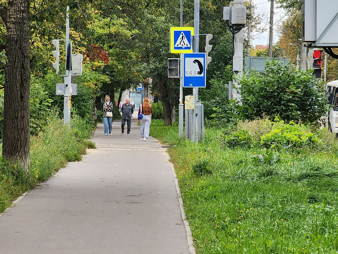 чехов, улица чехова, мосавтодор, покос травы, газонокосилки, содержание дорог, региональные трассы, уборка дорог, мбу чеховское благоустройство,