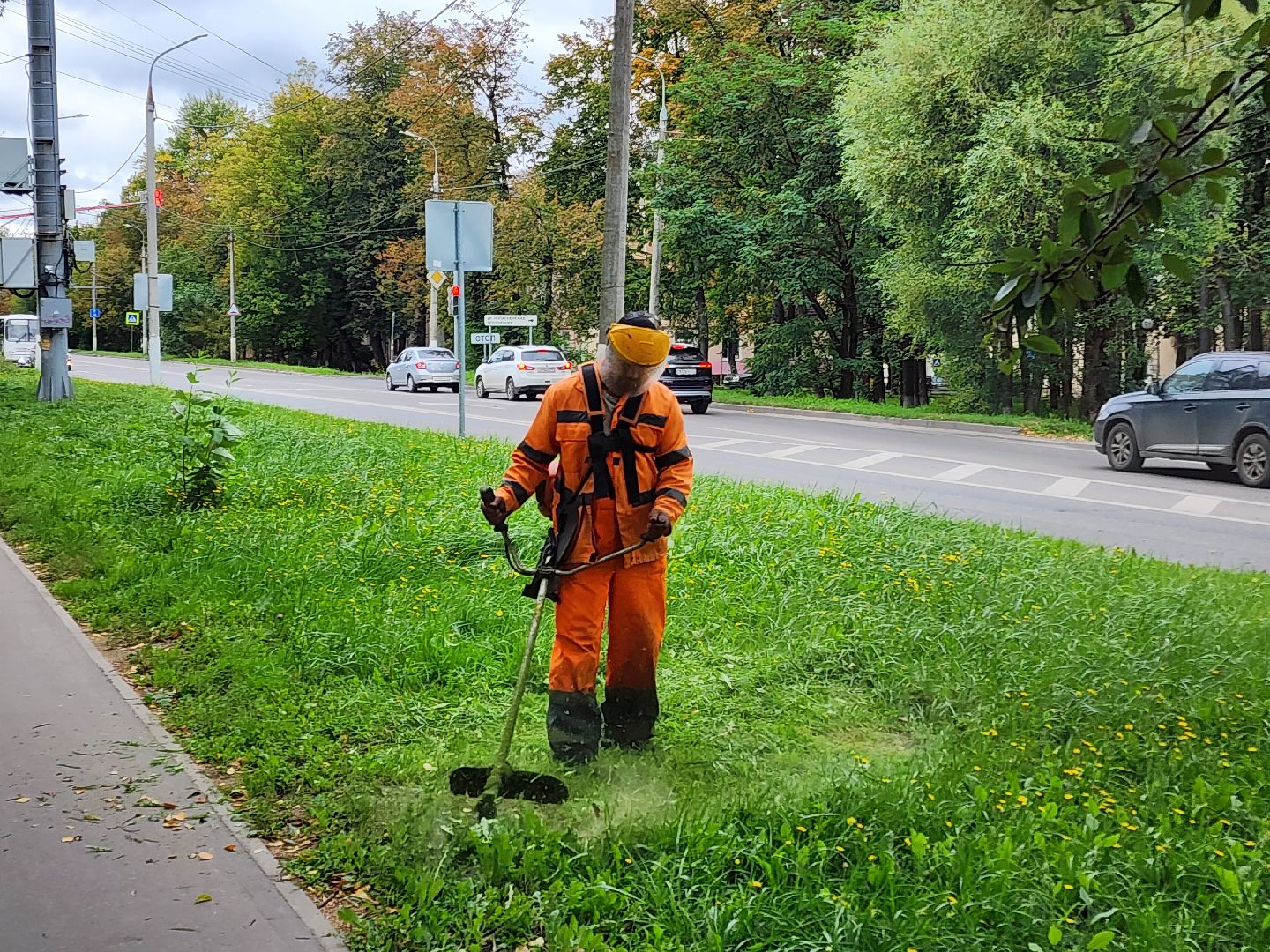 чехов, улица чехова, мосавтодор, покос травы, газонокосилки, содержание дорог, региональные трассы, уборка дорог, мбу чеховское благоустройство,