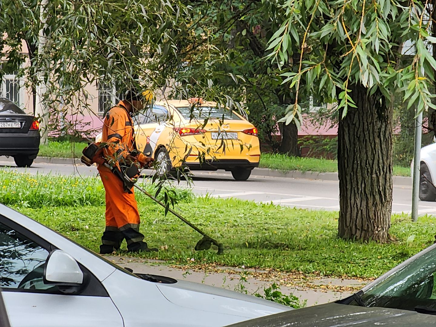 чехов, улица чехова, мосавтодор, покос травы, газонокосилки, содержание дорог, региональные трассы, уборка дорог, мбу чеховское благоустройство,