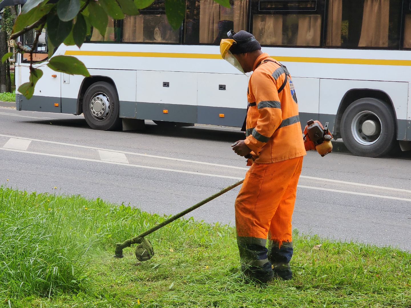 чехов, улица чехова, мосавтодор, покос травы, газонокосилки, содержание дорог, региональные трассы, уборка дорог, мбу чеховское благоустройство,