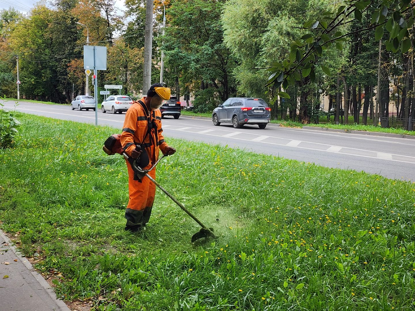 чехов, улица чехова, мосавтодор, покос травы, газонокосилки, содержание дорог, региональные трассы, уборка дорог, мбу чеховское благоустройство,
