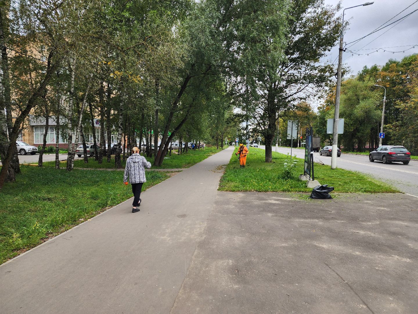 чехов, улица чехова, мосавтодор, покос травы, газонокосилки, содержание дорог, региональные трассы, уборка дорог, мбу чеховское благоустройство,