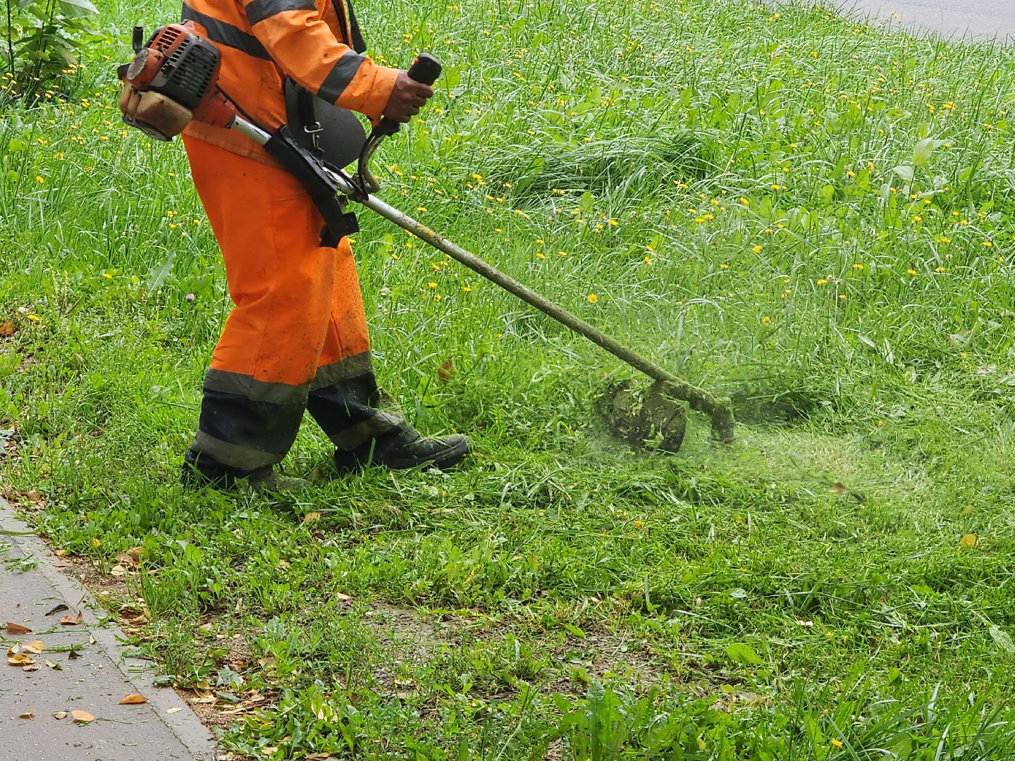 чехов, улица чехова, мосавтодор, покос травы, газонокосилки, содержание дорог, региональные трассы, уборка дорог, мбу чеховское благоустройство,