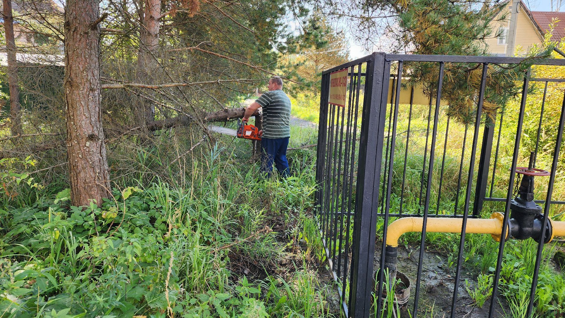 истра, добродел, благоустройство,