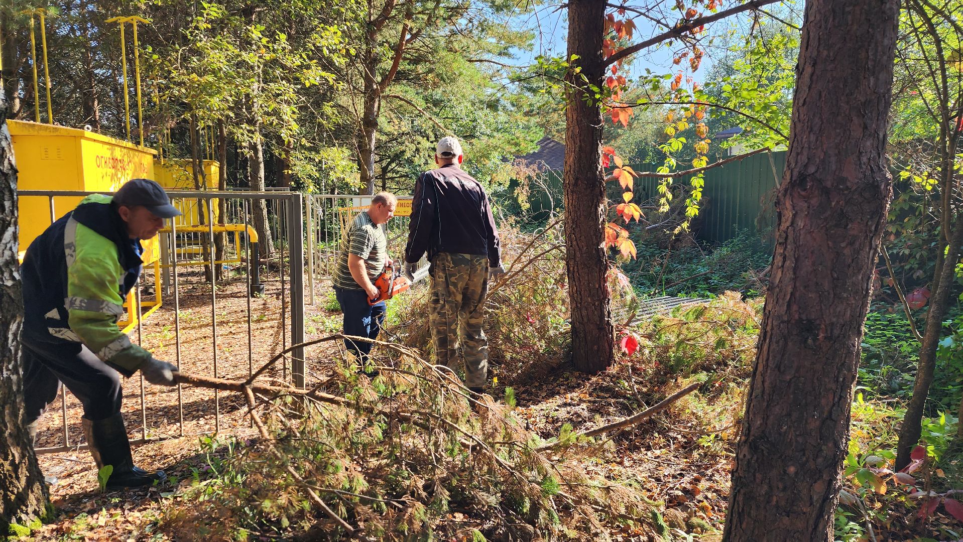 истра, добродел, благоустройство,