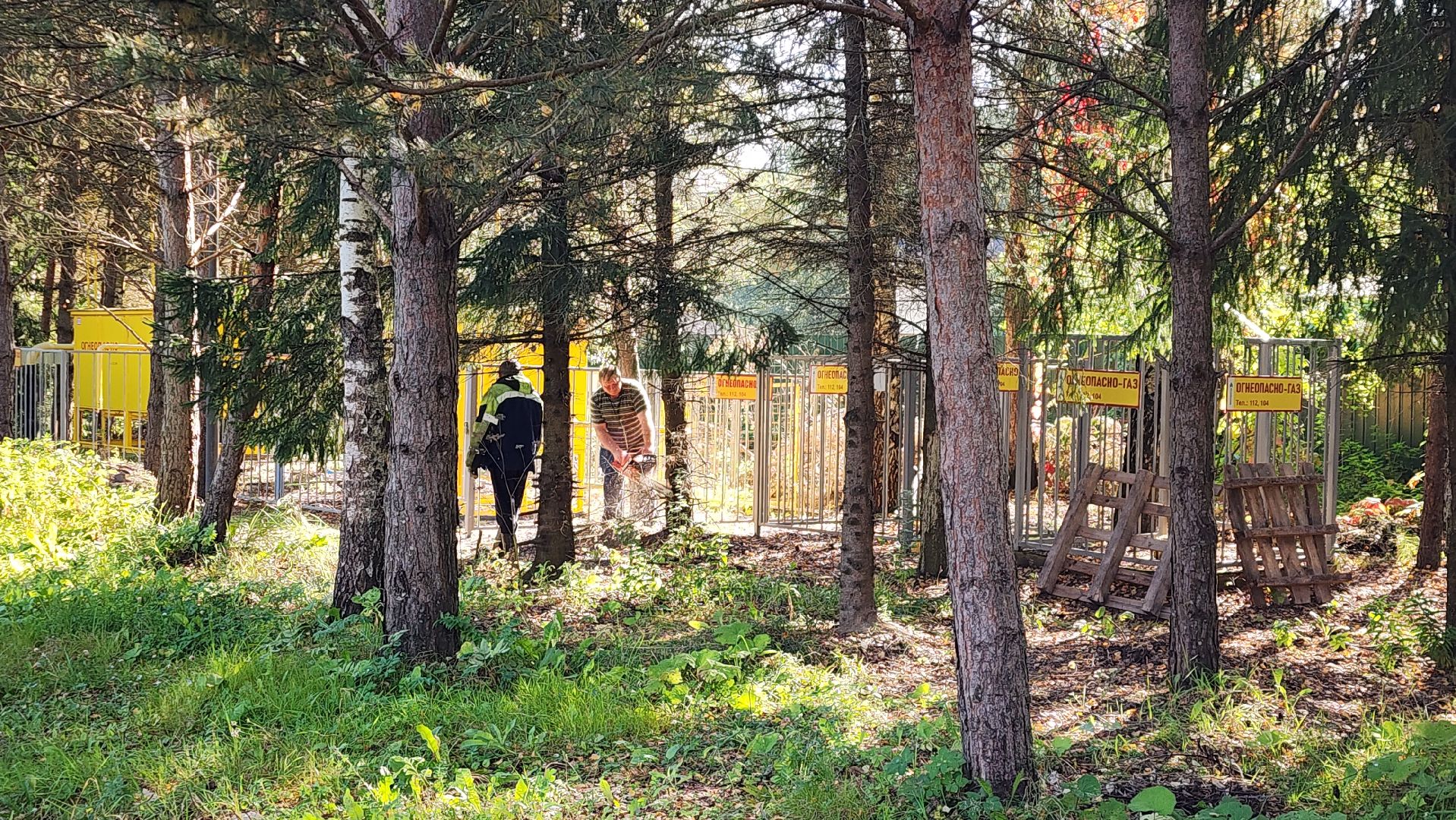 истра, добродел, благоустройство,