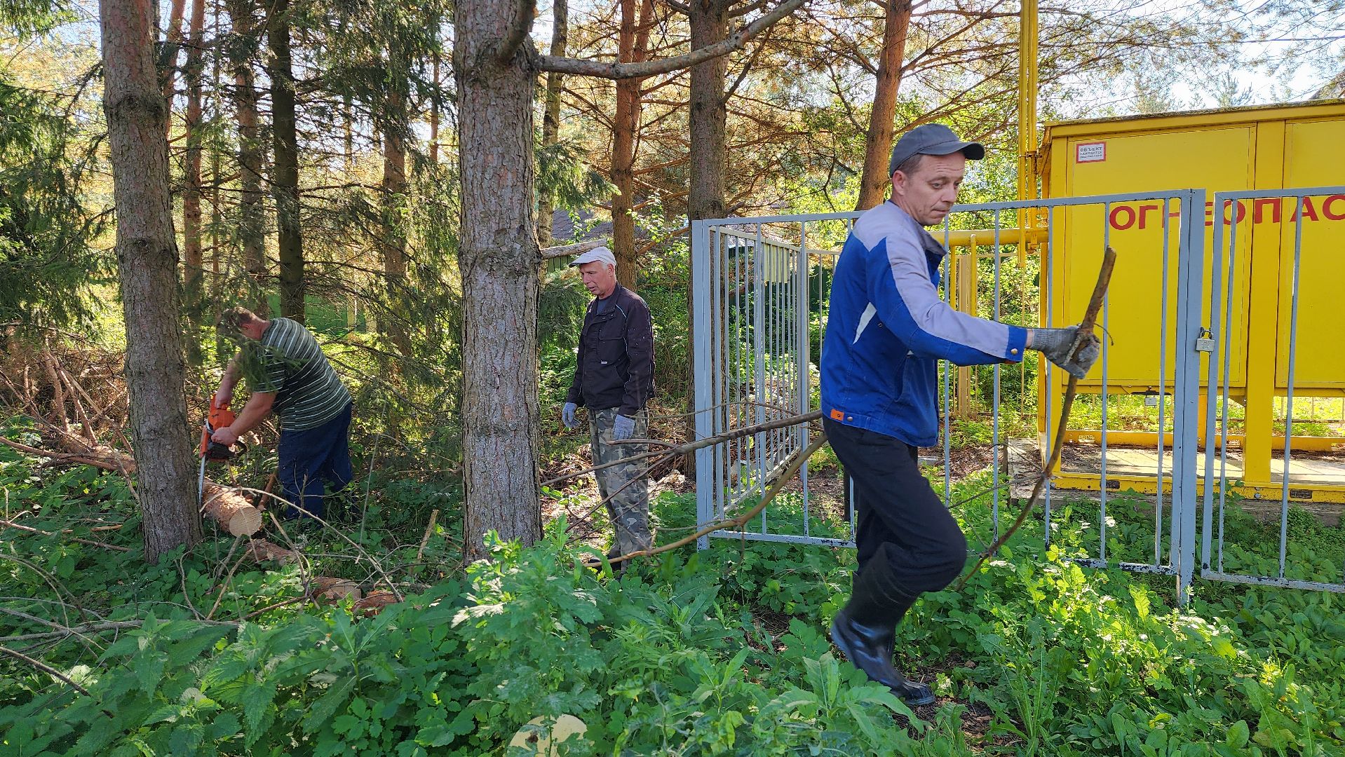 истра, добродел, благоустройство,