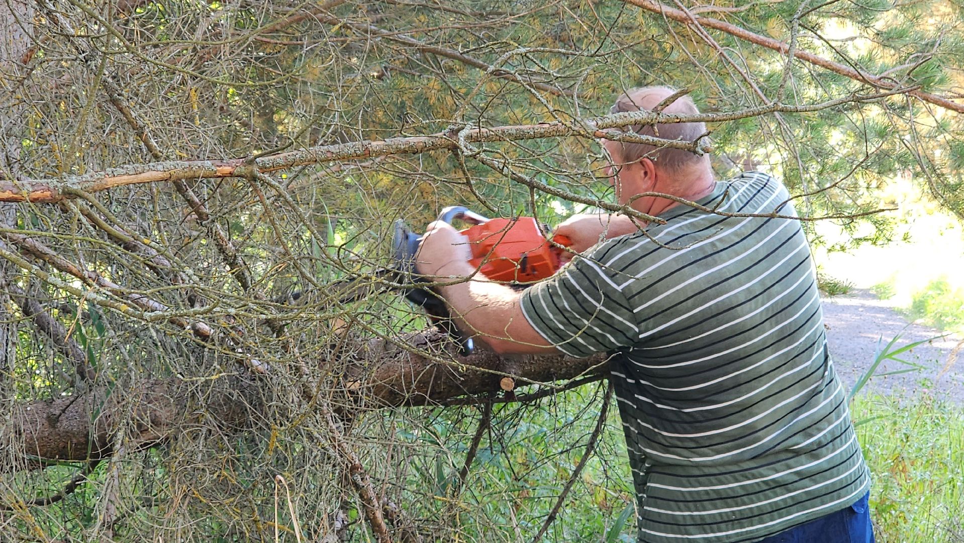 истра, добродел, благоустройство,
