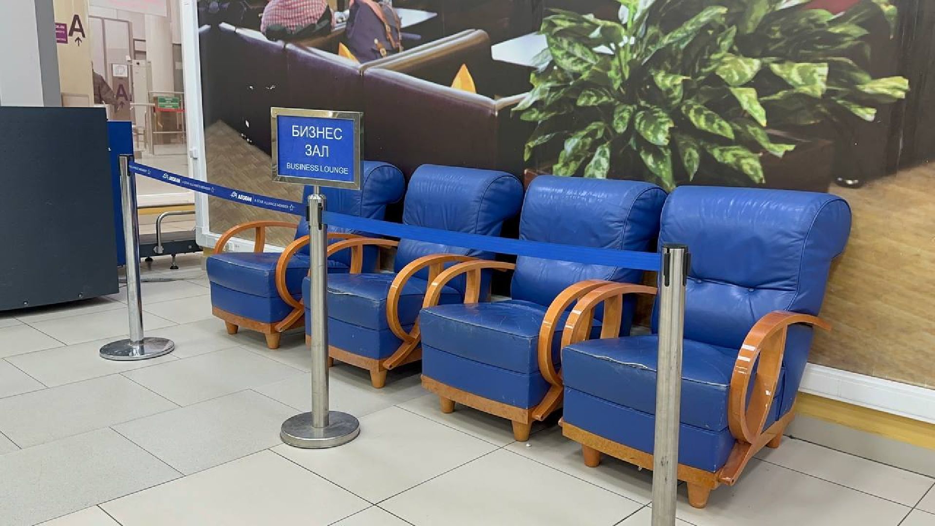 образование, домодедово, колледж московия,