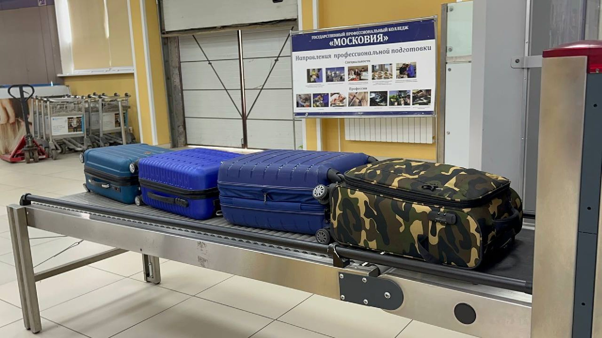 образование, домодедово, колледж московия,