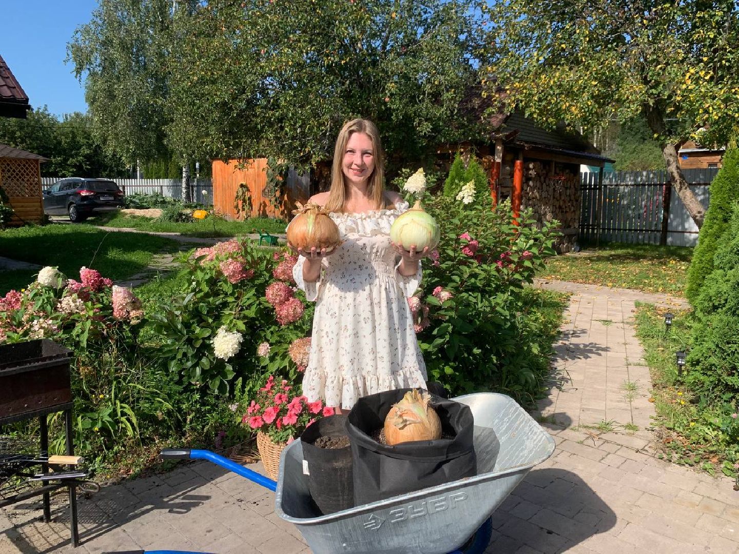 Алина Романова, тыква-гигант, садоводство, садовод-любитель, ступино,
