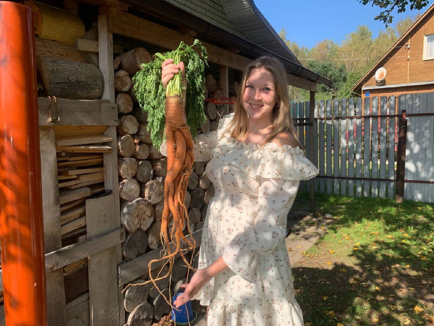 Алина Романова, тыква-гигант, садоводство, садовод-любитель, ступино,