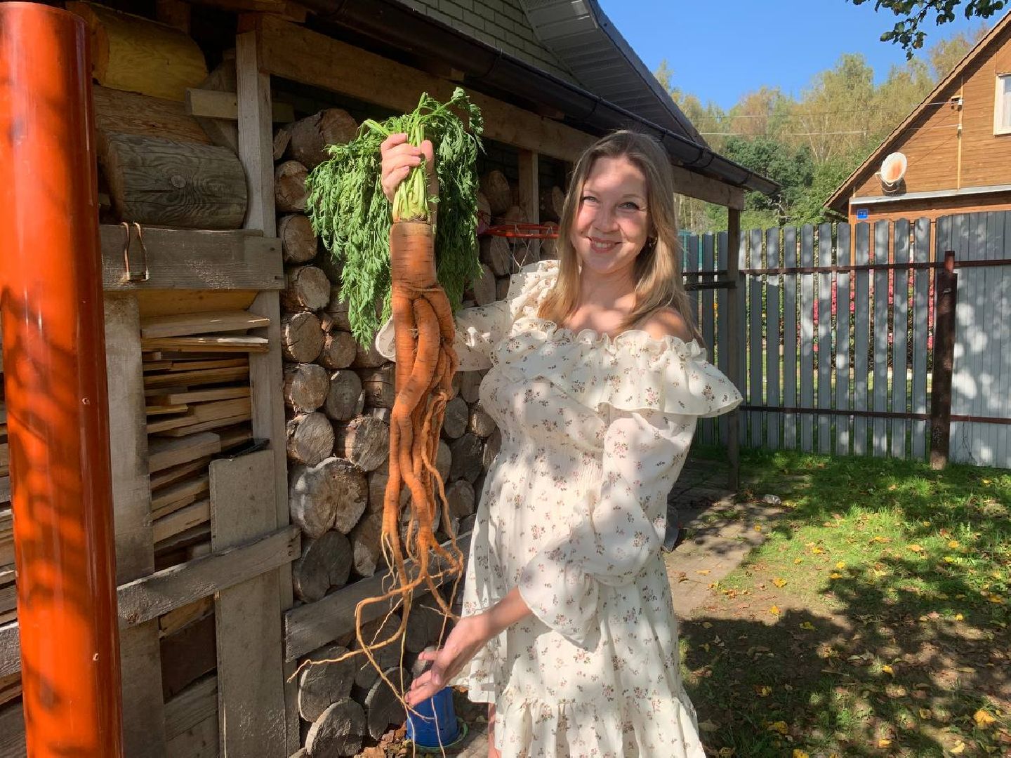 Алина Романова, тыква-гигант, садоводство, садовод-любитель, ступино,