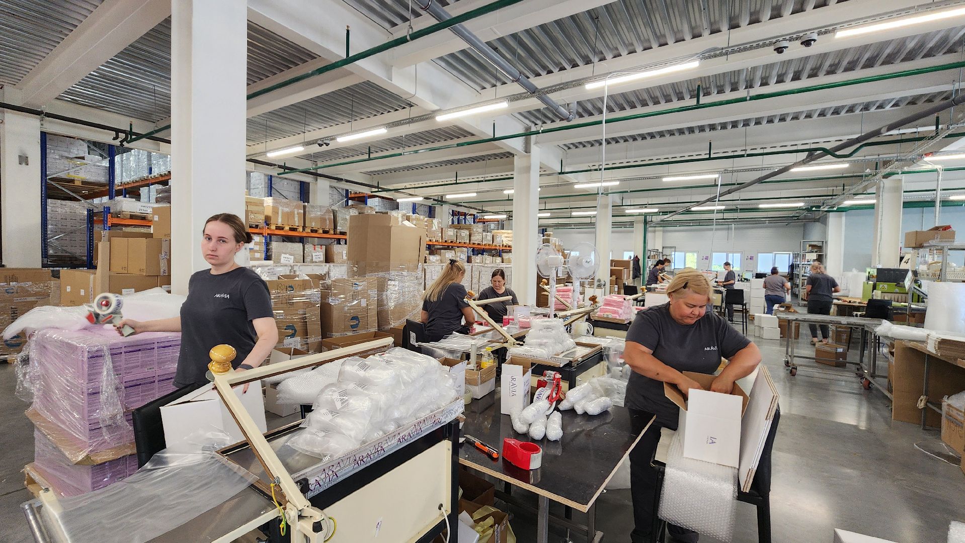 экономика, земля за 1 рубль, протвино,