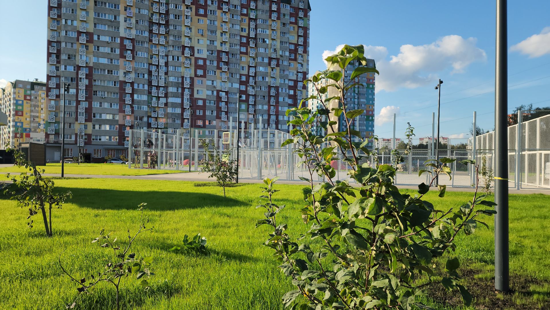 Парк Защитников Москвы , Лобня, Благоустройство парка ,