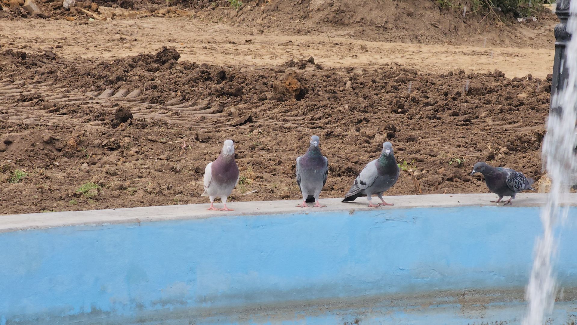 кашира, благоустройство, сквер, место отдыха, газоны, тротуары,