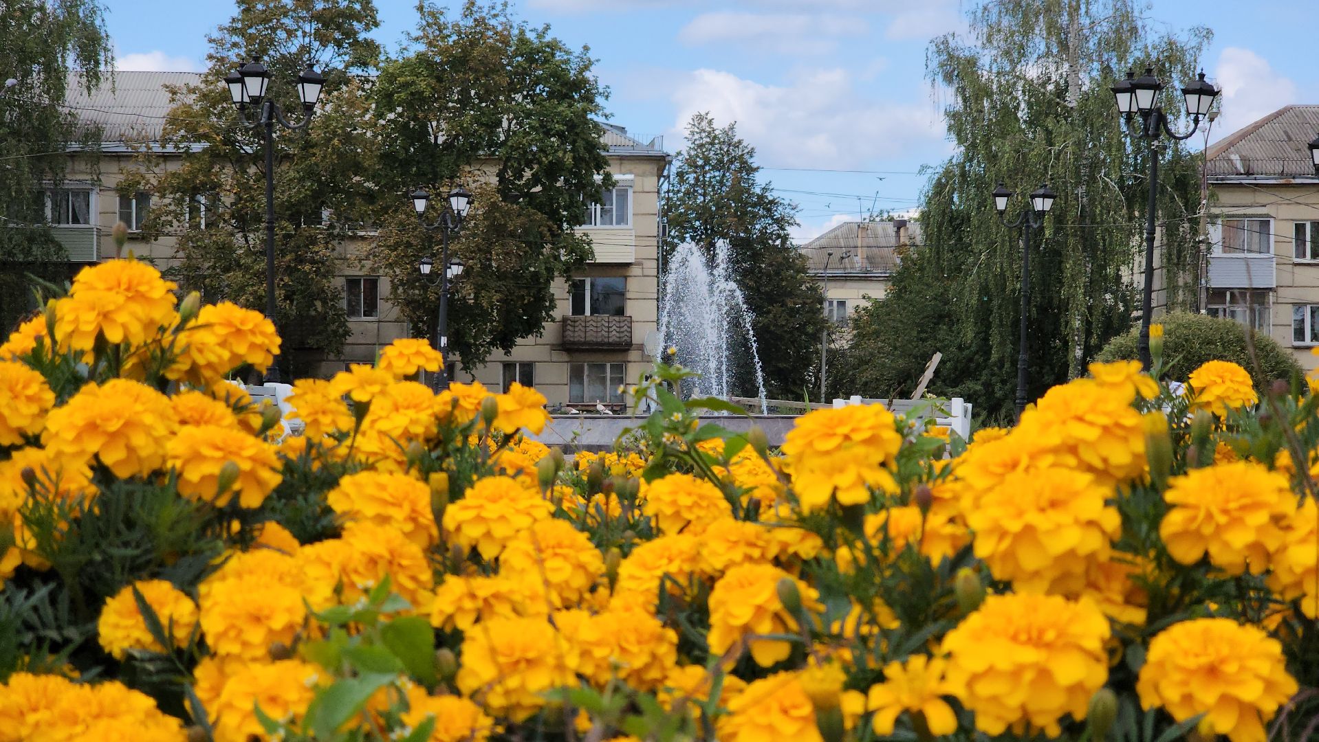 кашира, благоустройство, сквер, место отдыха, газоны, тротуары,
