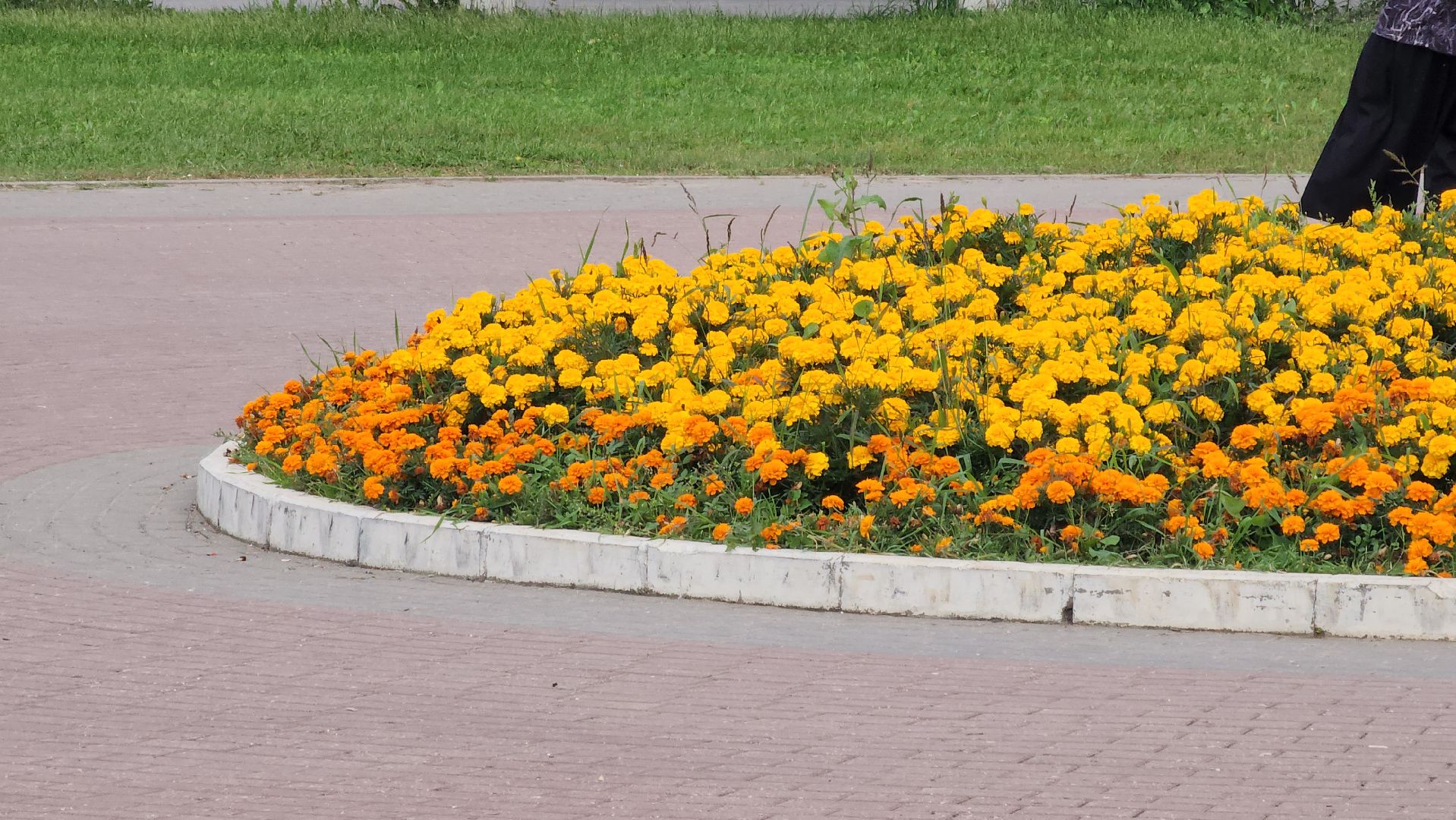 кашира, благоустройство, сквер, место отдыха, газоны, тротуары,