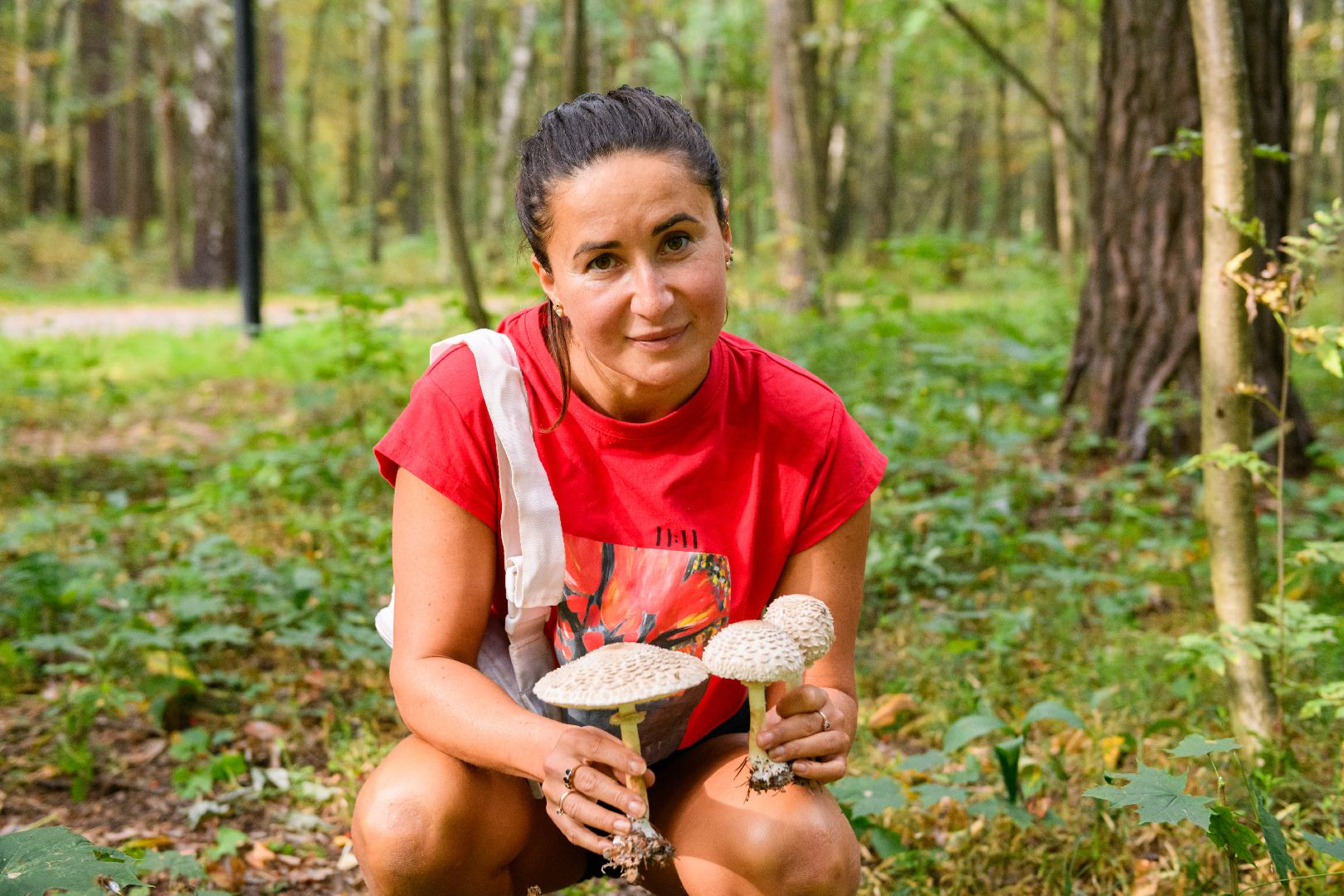 грибники, грибы, лыткарино, волкуша, белые медведи,