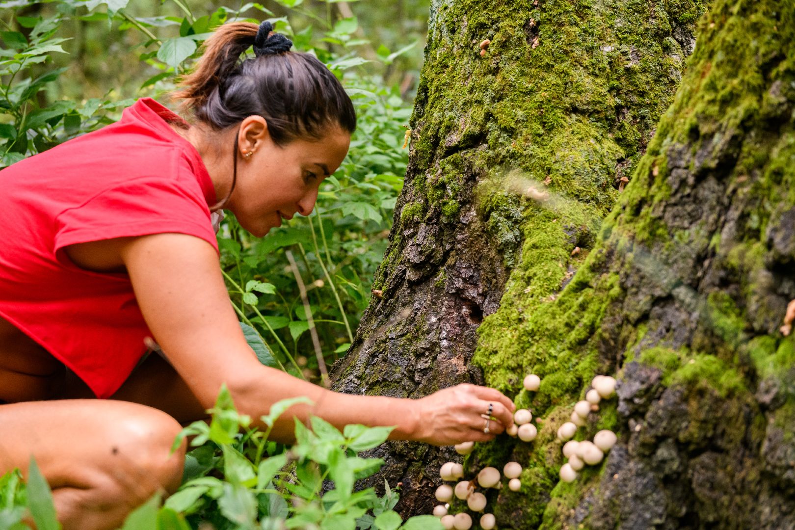 грибники, грибы, лыткарино, волкуша, белые медведи,