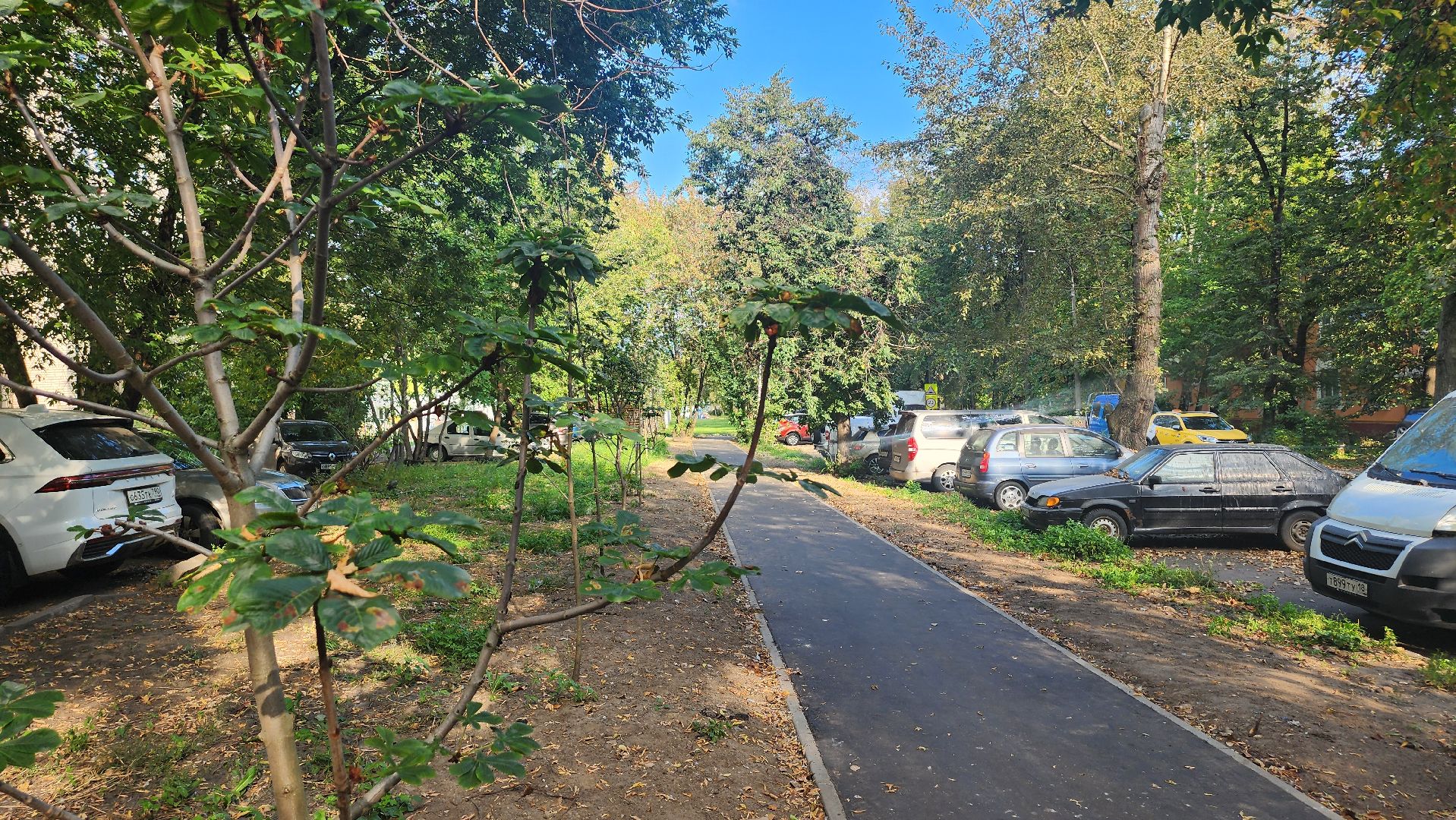 люберцы, новый сквер, вуги,