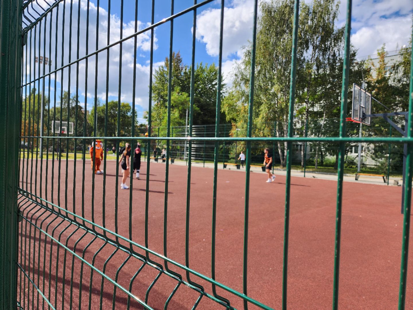 раменское, спорт, раменский колледж, новые спортивные площадки,