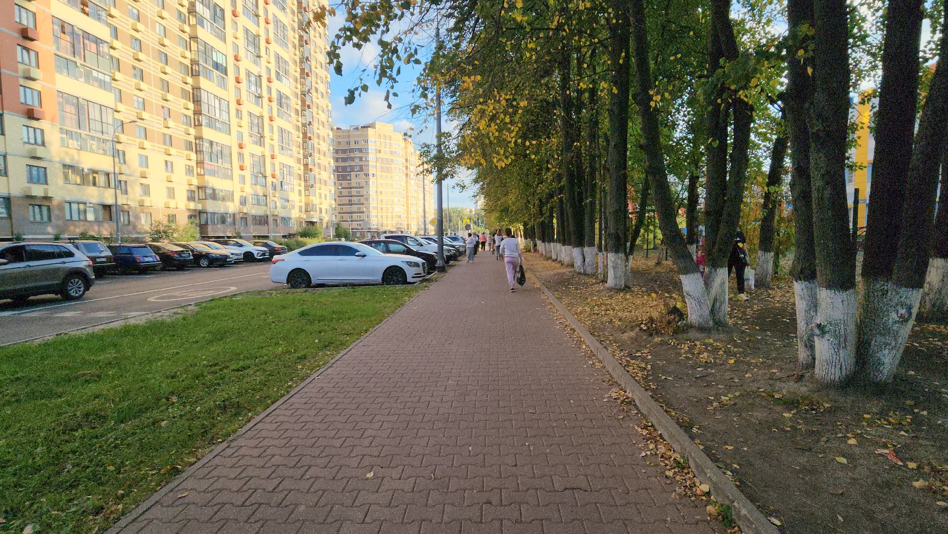 пушкино, ремонт дороги, новое пушкино, ремонт дорожного полотна, парковки, тротуары, бордюры,нацпроект,