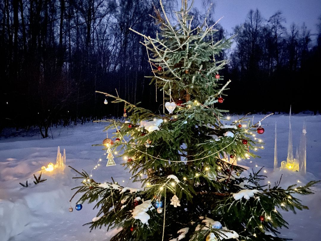 Клин, общество