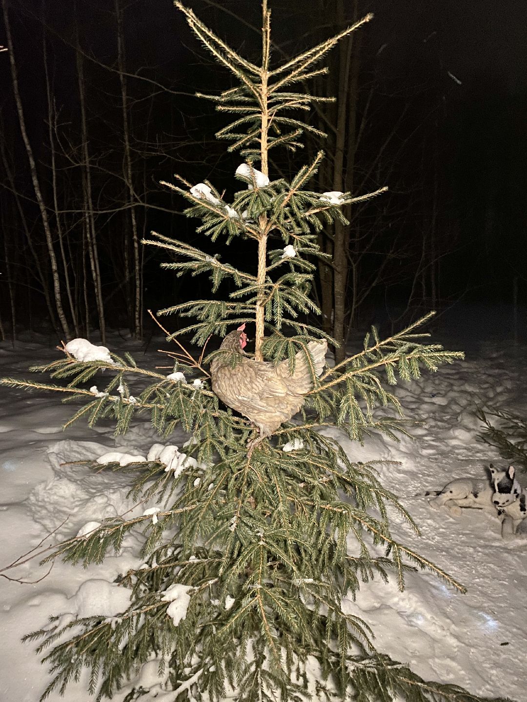 Клин, общество