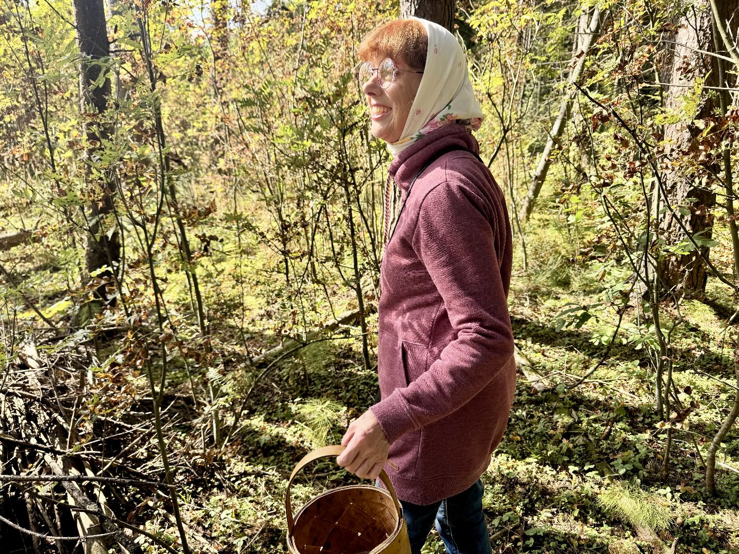 шаховская, тихая охота, грибы, грибник, грибы в лесу,