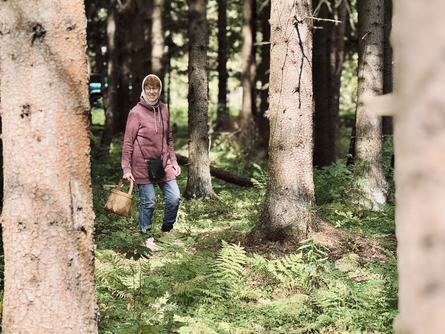 шаховская, тихая охота, грибы, грибник, грибы в лесу,