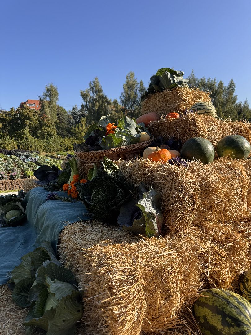 105-лет ФНЦО, Продовольственная безопасность, Молодые ученые,