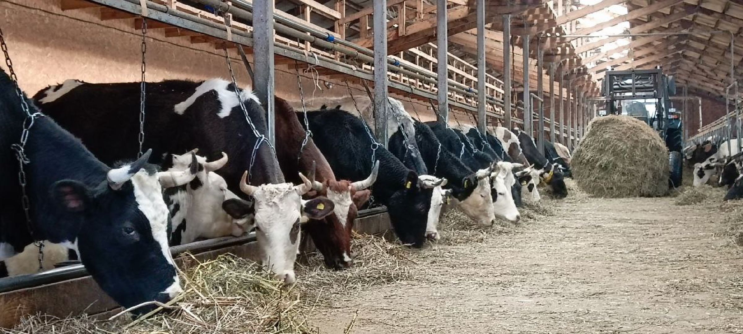 Дмитров, КФХ Свободный труд, Сыроварня Булатовых, Фермеры, Минсельхоз,