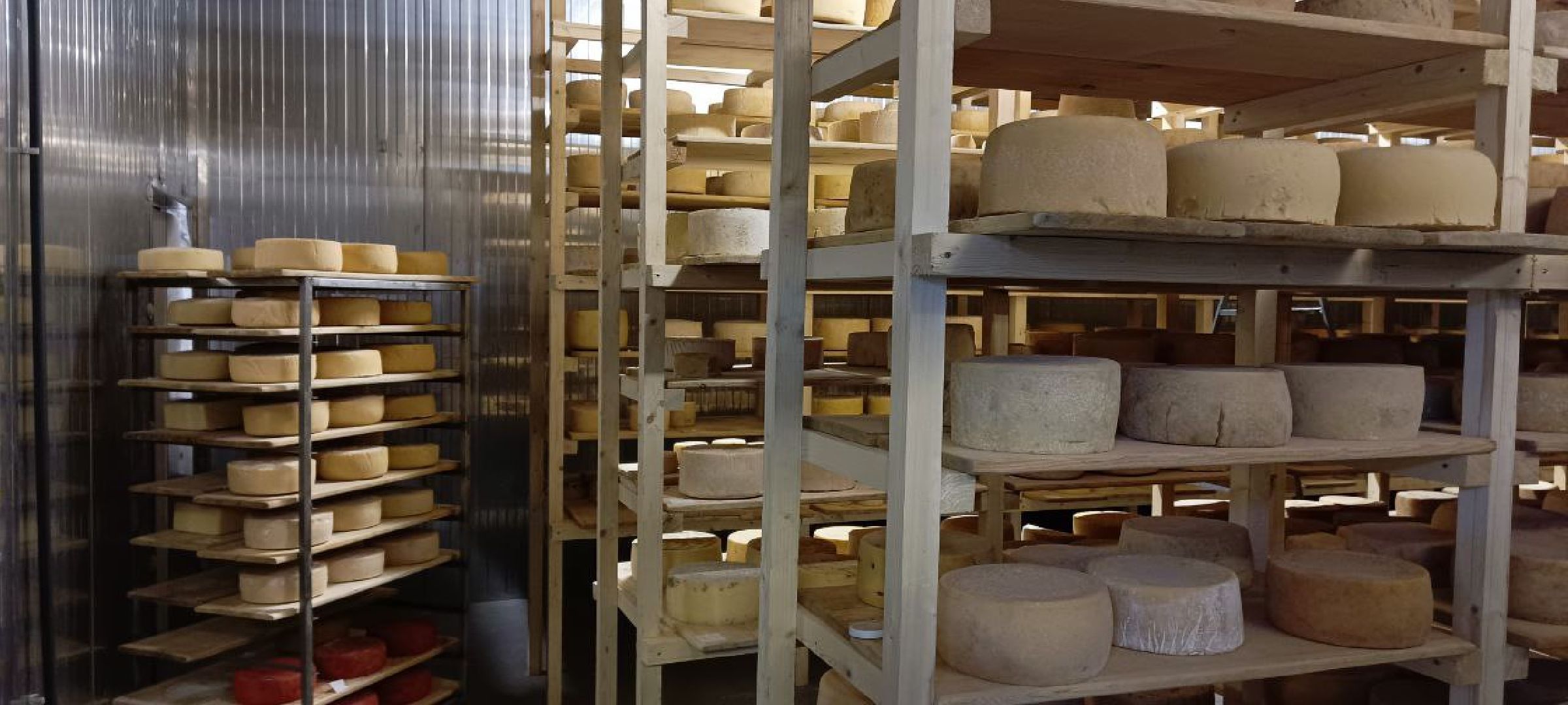 Дмитров, КФХ Свободный труд, Сыроварня Булатовых, Фермеры, Минсельхоз,