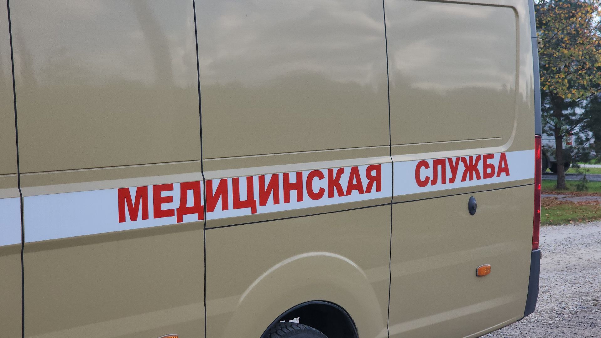 щёлково, профосмотр, выездная вакцинация,