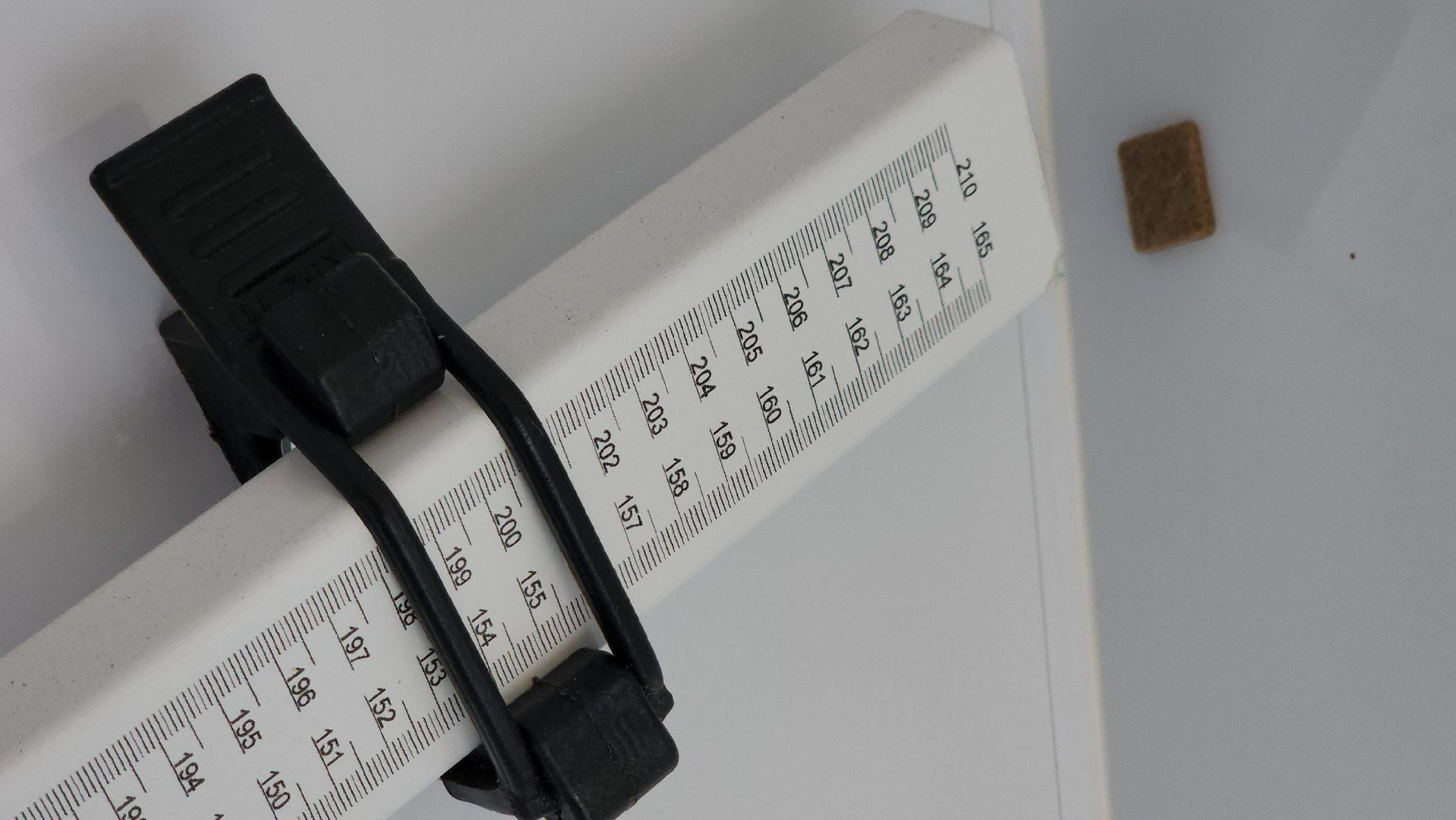 щёлково, профосмотр, выездная вакцинация,