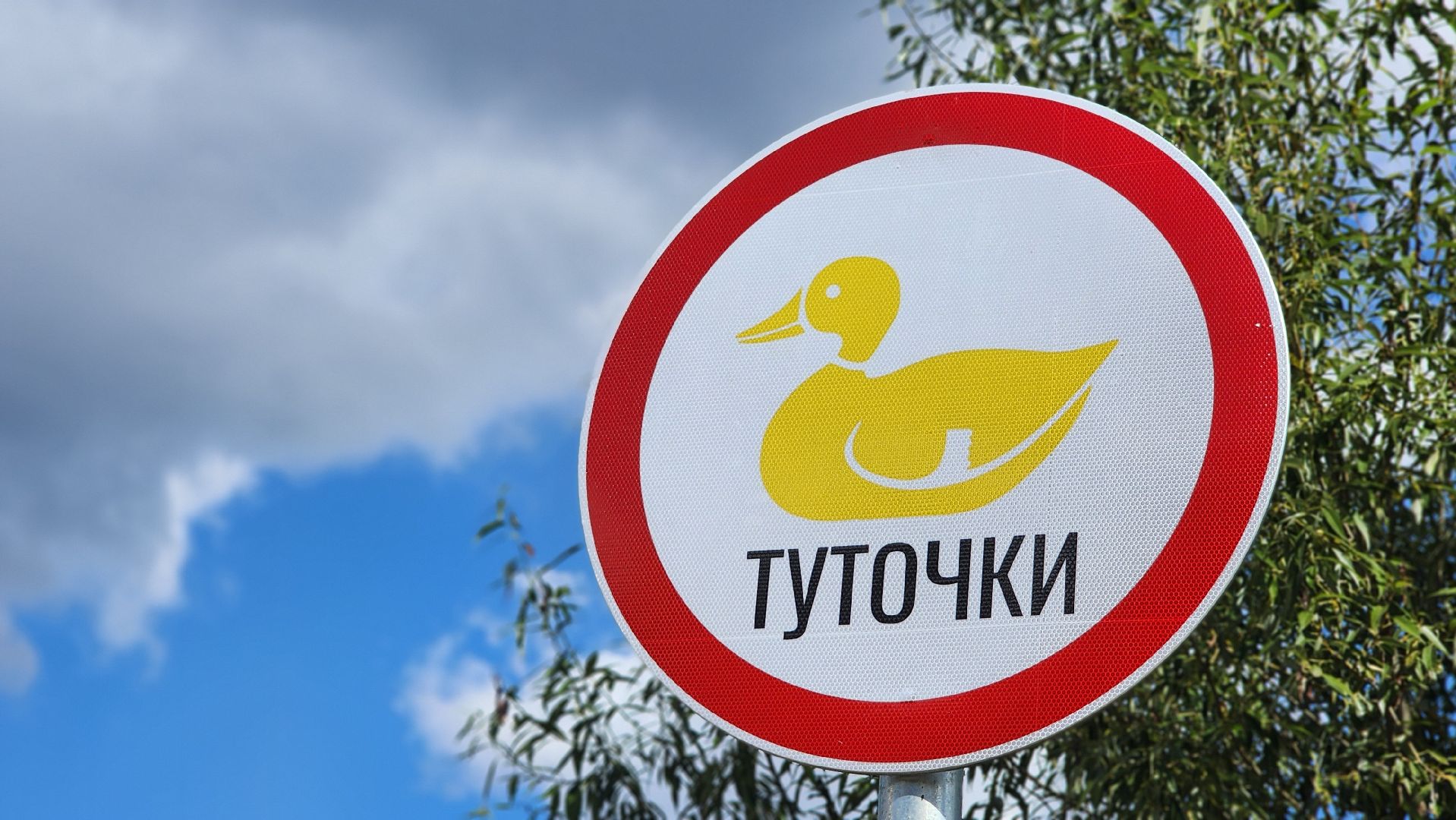 солнечногорск, озеро сенеж, арт-объекты, александр блок,