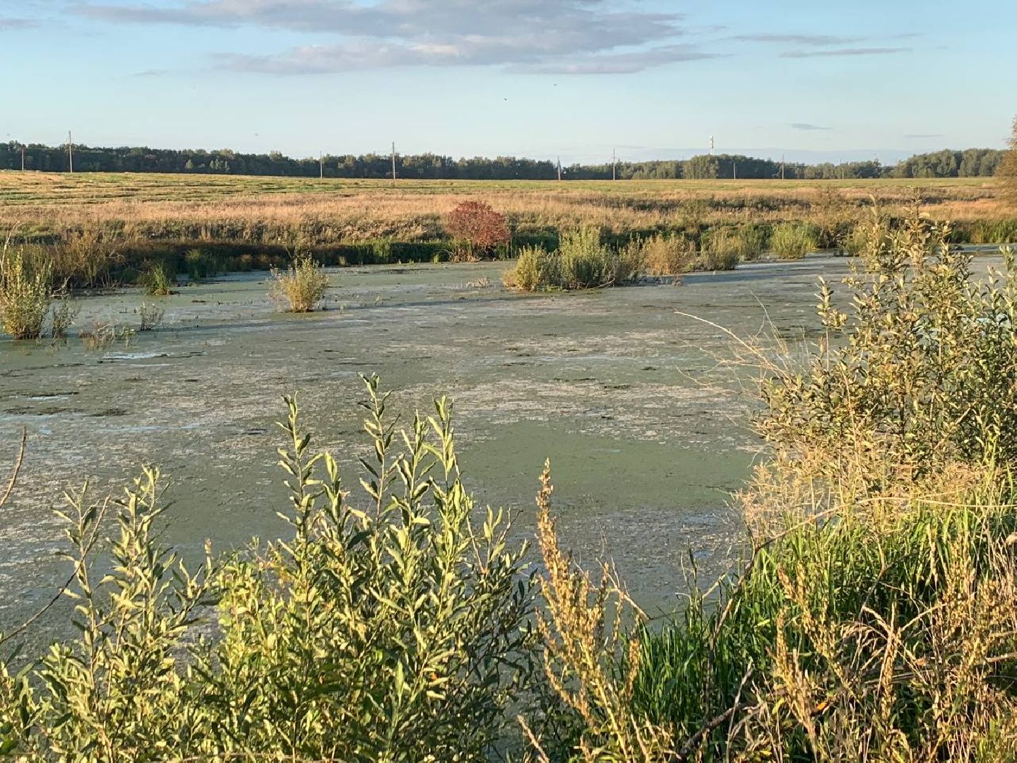 ступино, леонтьево, дорога,