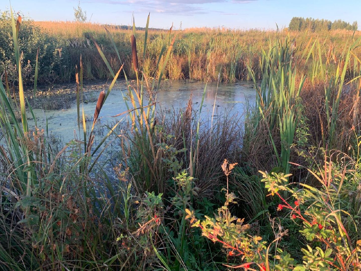 ступино, леонтьево, дорога,