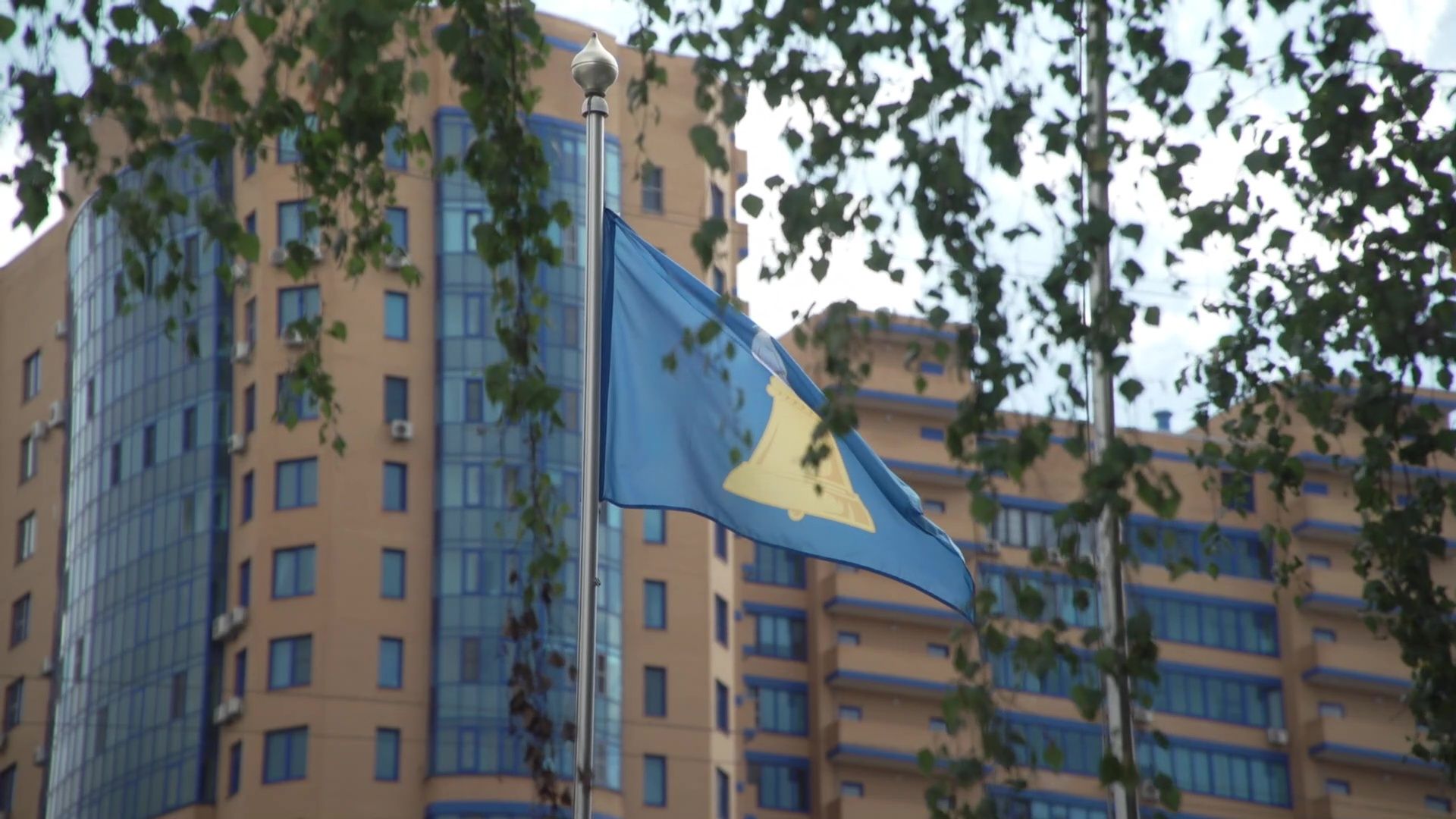 Реутов, образование, посадка деревьев,