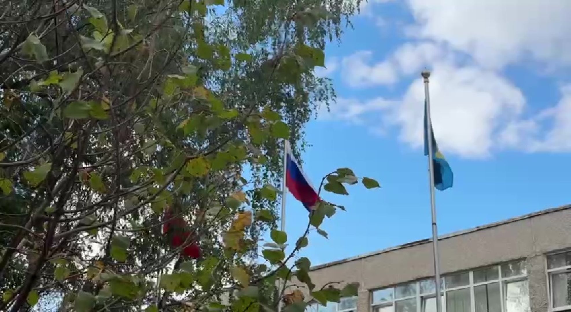 Реутов, образование, посадка деревьев,