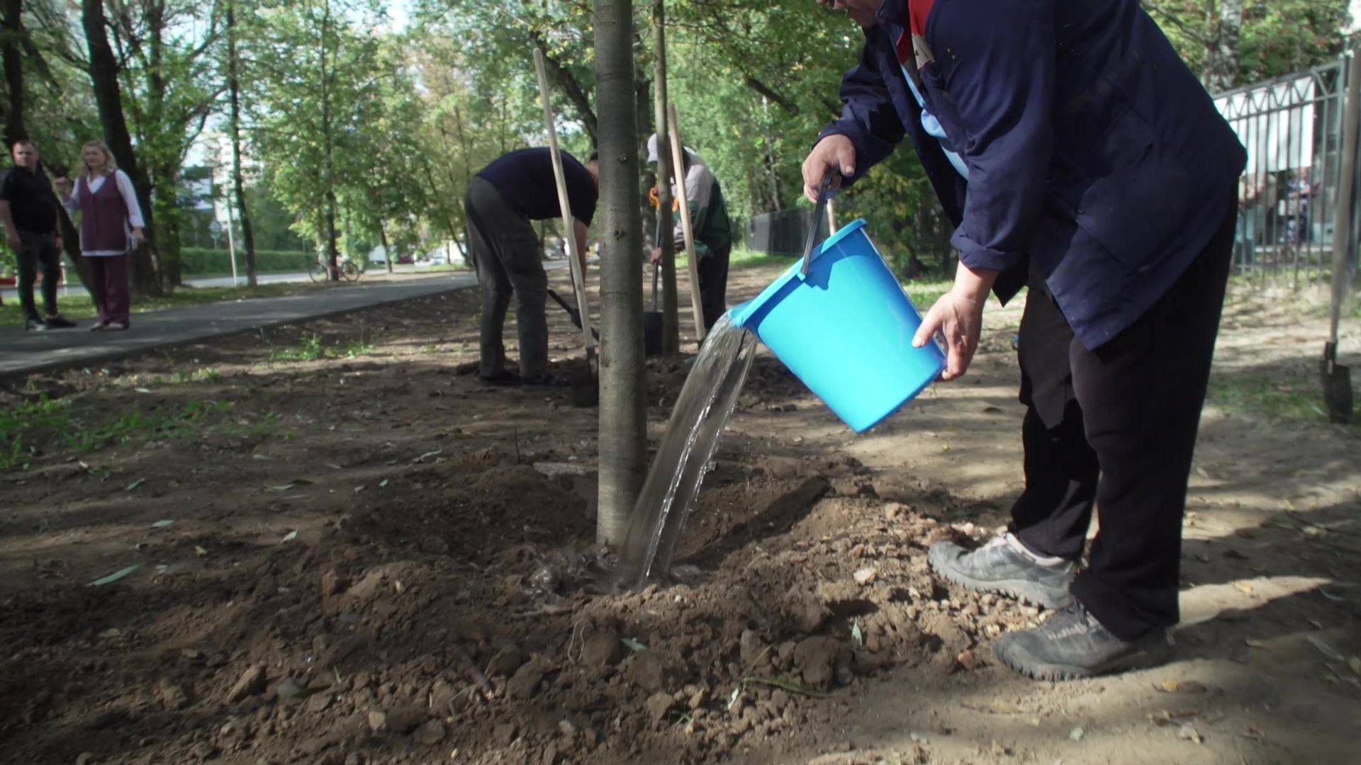 Реутов, образование, посадка деревьев,