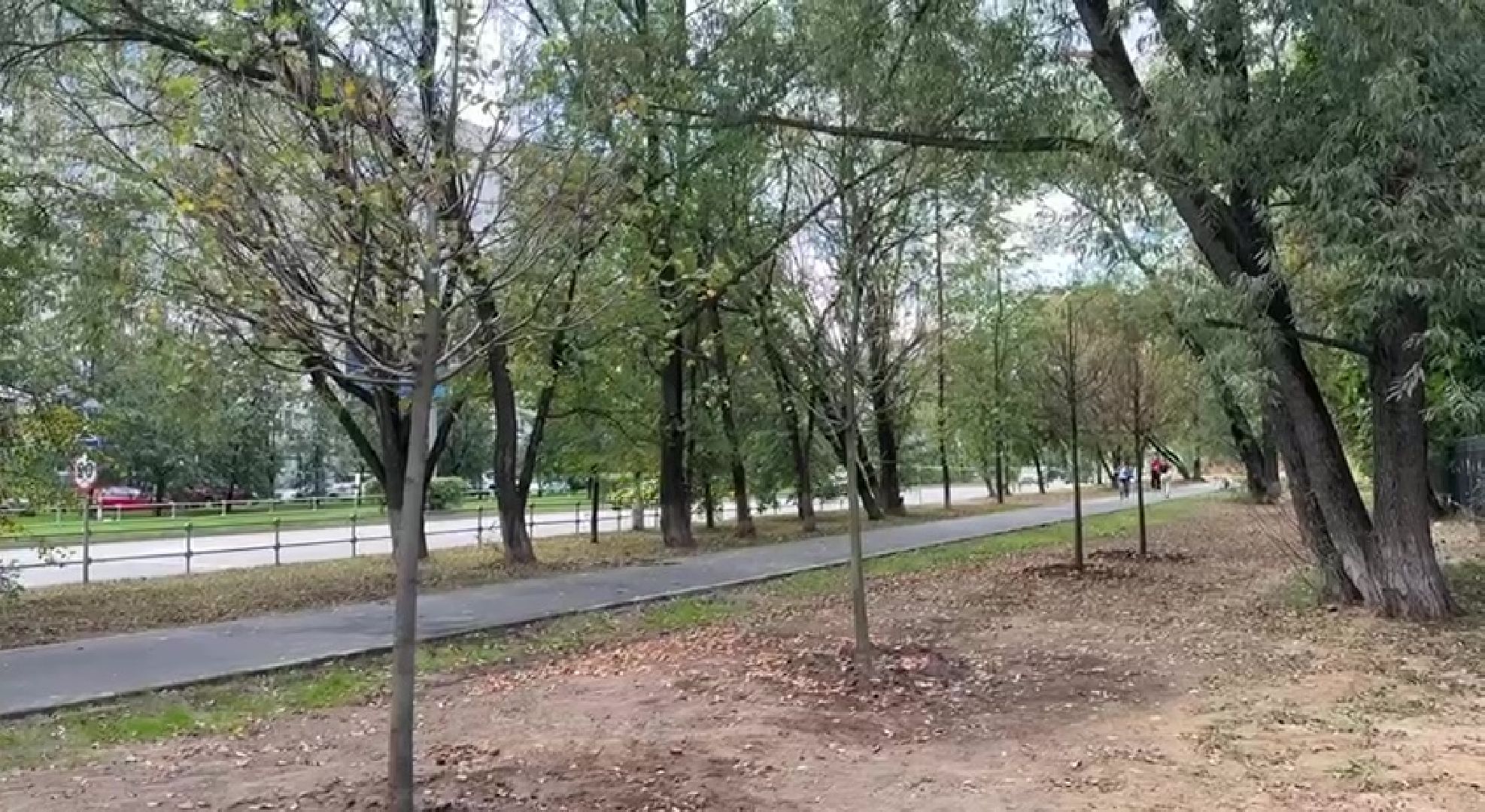 Реутов, образование, посадка деревьев,